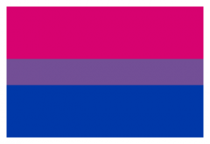 Bisexual Flag