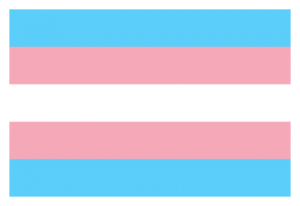 Trans flag. The flag represents the transgender community and consists of five horizontal stripes: two light blue, two pink, and one white in the center.