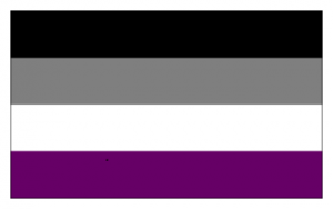 Asexual Flag. It contains four horizontal stripes. Its colours are from top to bottom: black, gray, white, purple