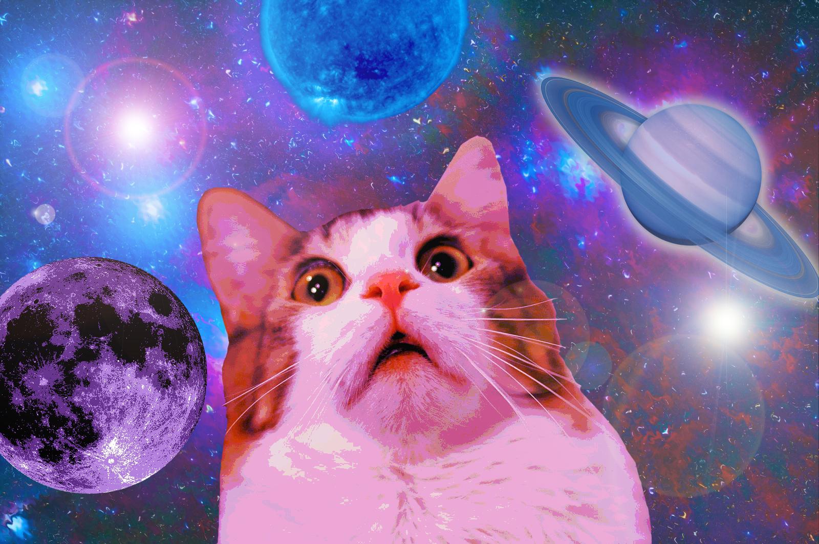 space-cat-wallpapers-for-iphone-For-Desktop-Wallpaper - Colour Youth